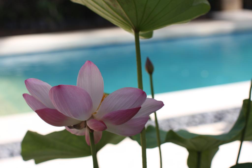 Villa Alu Lima Seminyak  Phòng bức ảnh